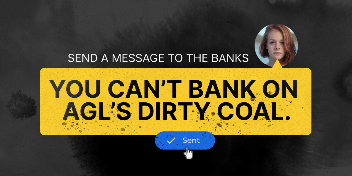 Don t bank on AGL s dirty coal